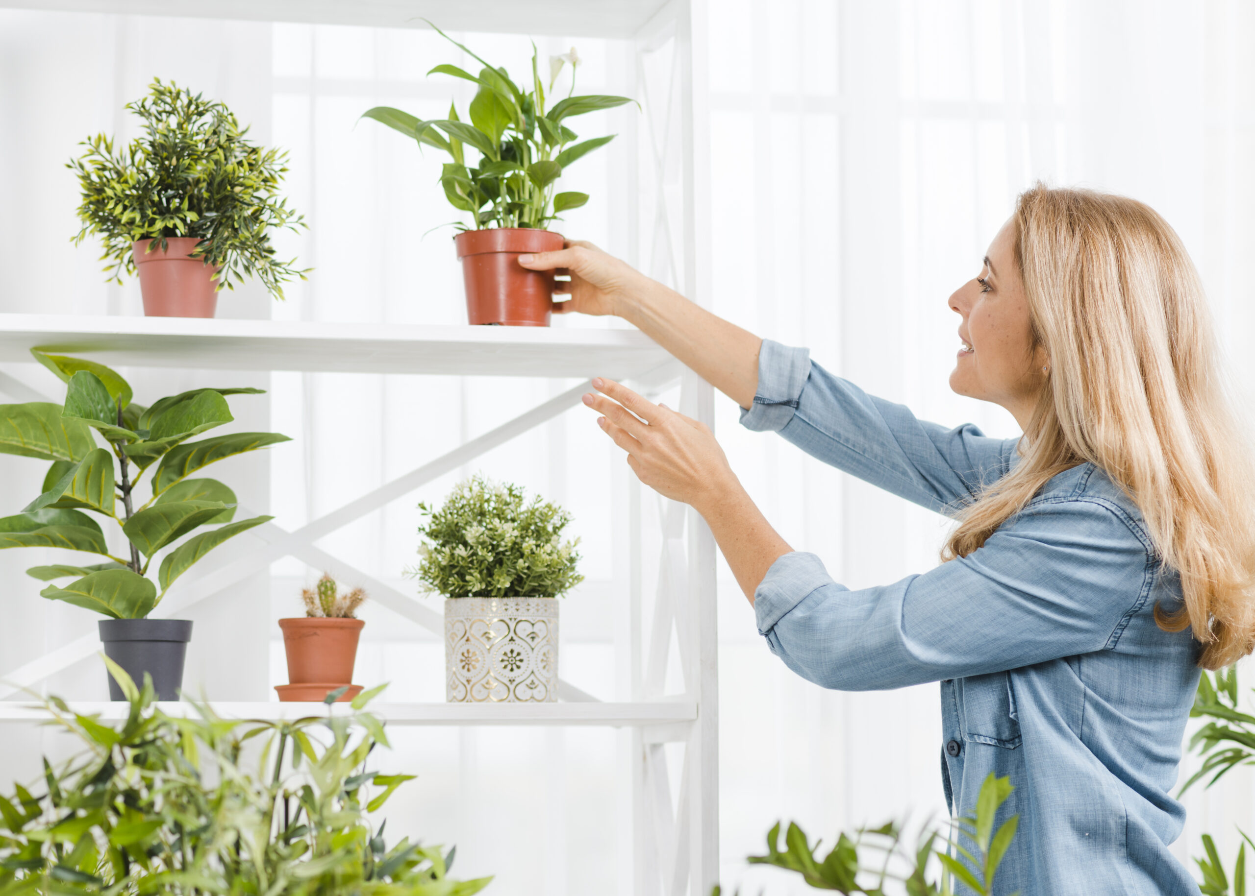 05 cách giúp duy trì không khí sạch và trong lành cho căn nhà của bạn